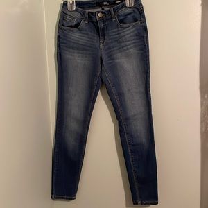 1822 Adrianna Skinny Jeans